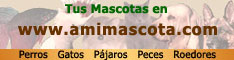 Amimascota.com, Todo para tu mascota