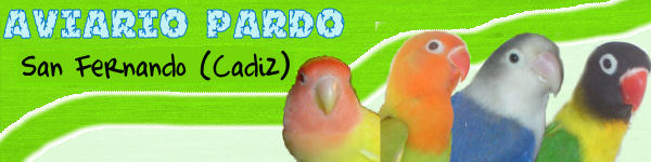 aviario pardo (28K)