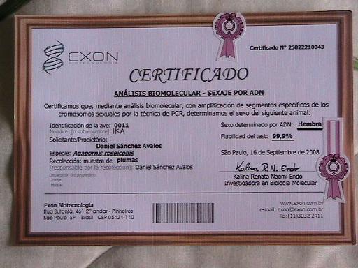 exoncertificadonia-1 (45K)